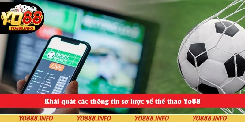 Khái quát các thông tin sơ lược về thể thao Yo88