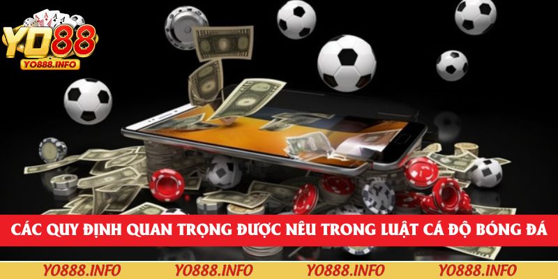 Các quy định quan trọng được nêu trong luật cá độ bóng đá