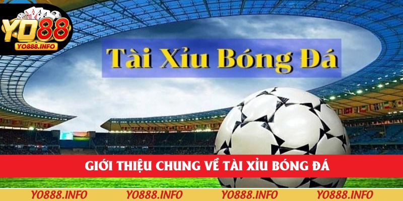 Giới thiệu chung về tài xỉu bóng đá
