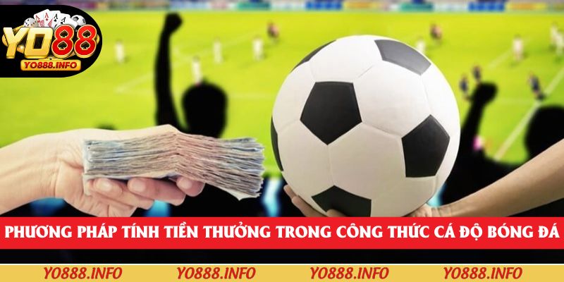 Phương pháp tính tiền thưởng trong công thức cá độ bóng đá