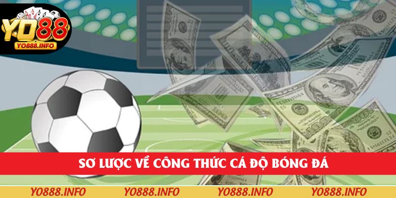 Sơ lược về công thức cá độ bóng đá